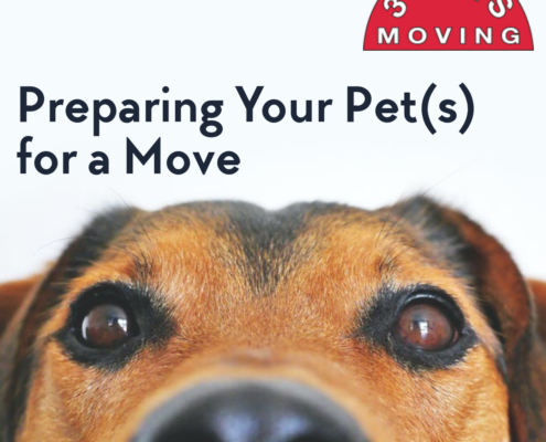 Preparing Your Pet(s) for a Move
