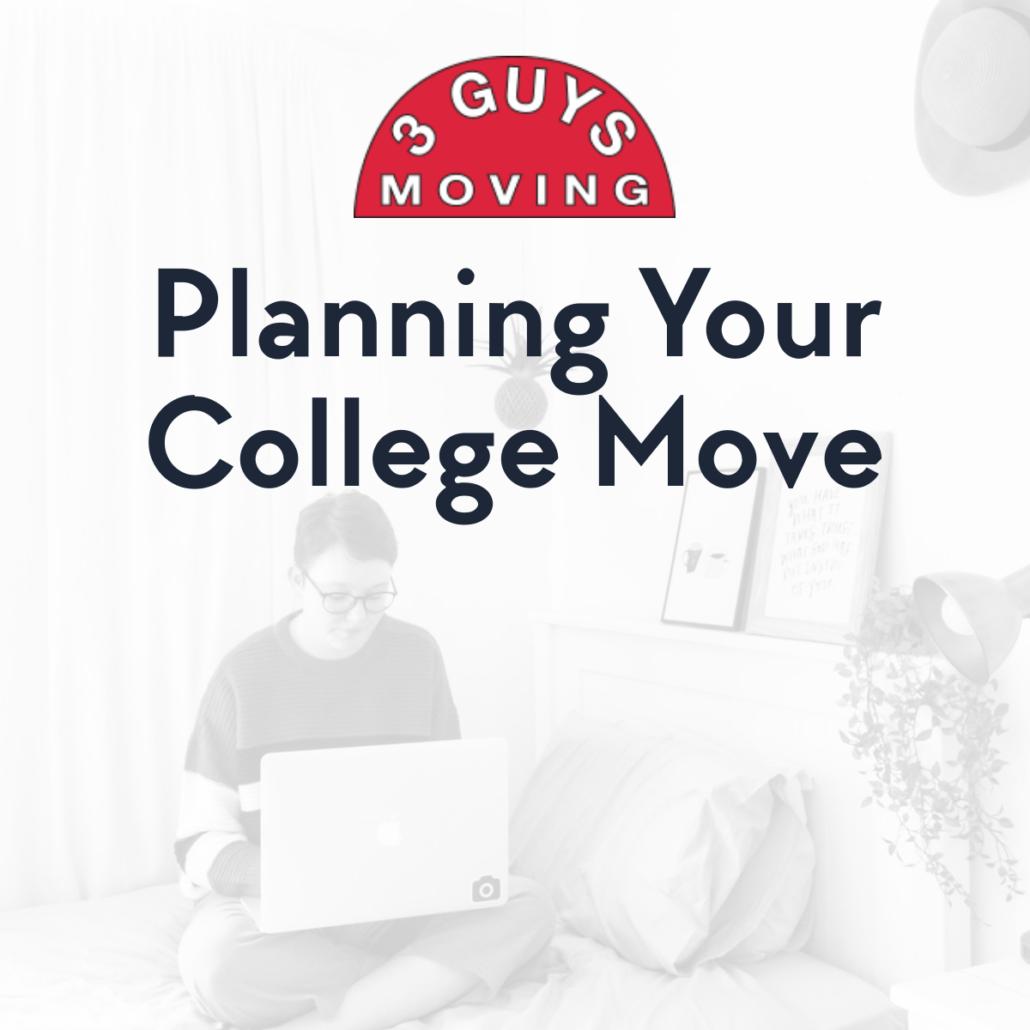movers and packers