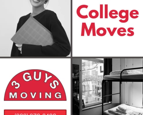 College Moves 3 College Moves