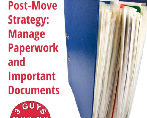 Post-Move Strategy: Manage Paperwork and Important Documents 4 Post-Move Strategy: Manage Paperwork and Important Documents