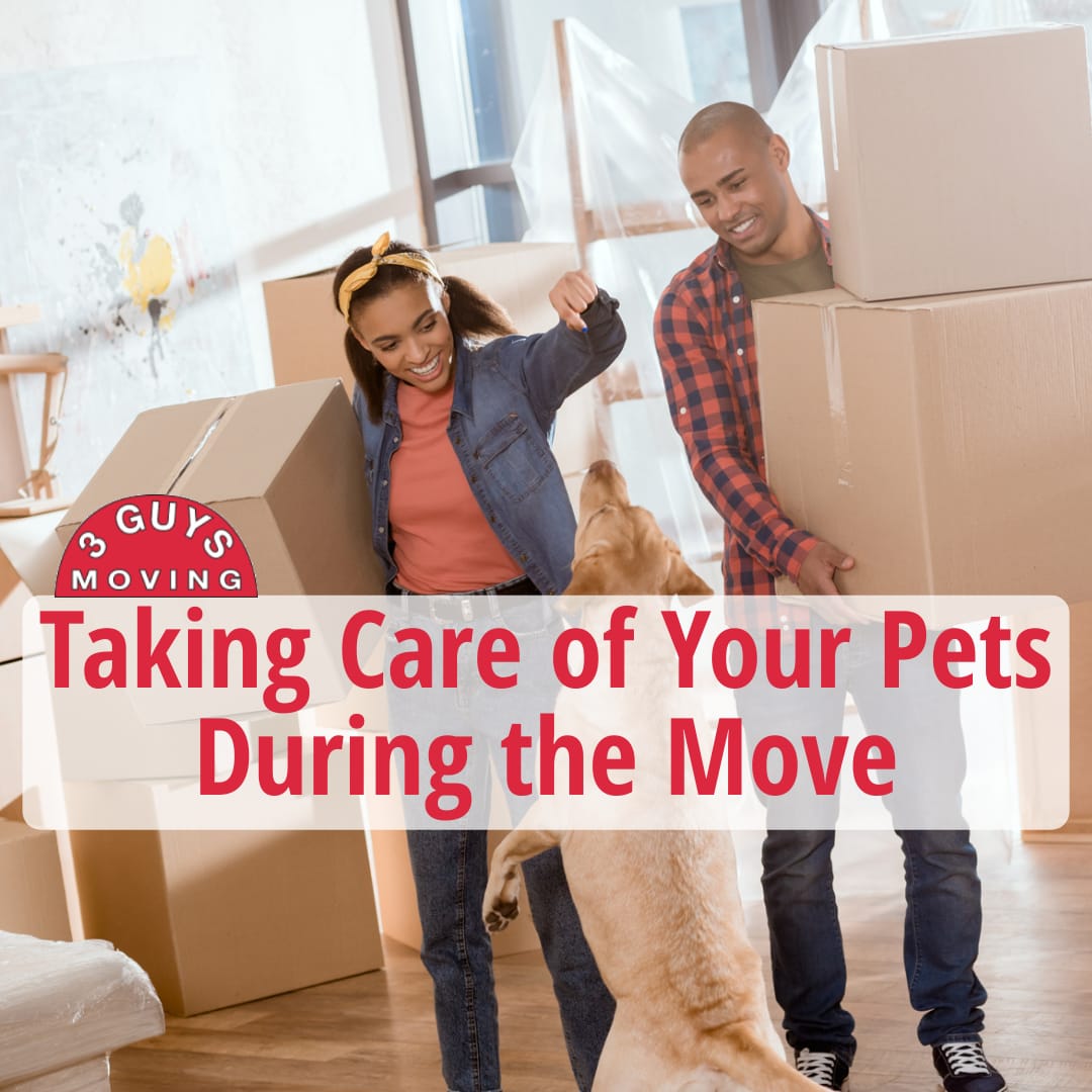 Taking Care of Your Pets During the Move Taking Care of Your Pets During the Move